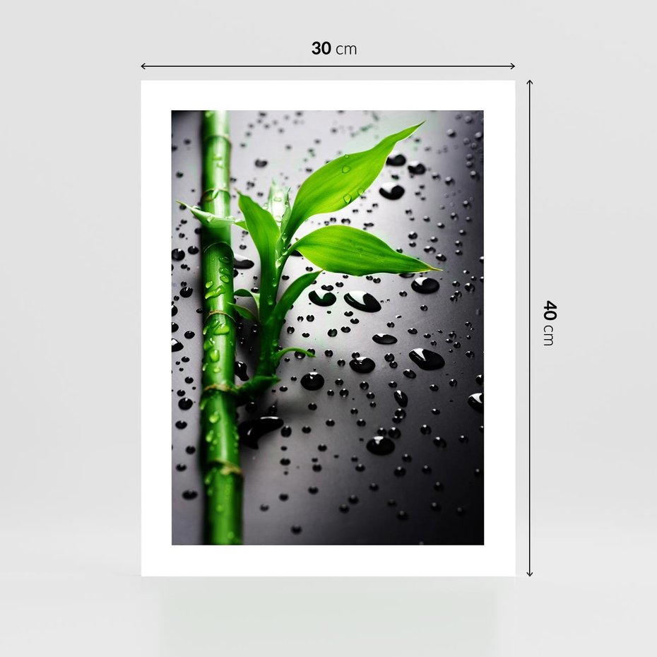 Plakat bez ramy 30x40 - Bambusowa Harmonia - bambus, liście
