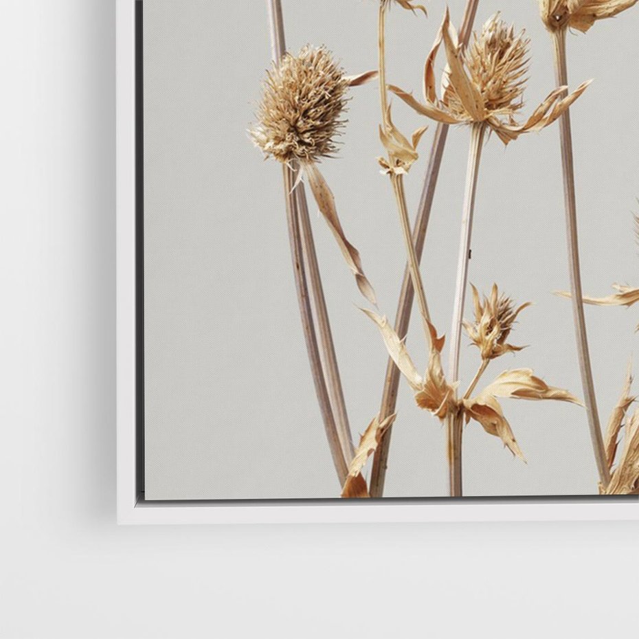 Obraz w ramie 100x70 - Delikatne gipsówki - gipsówka, suche - rama biała