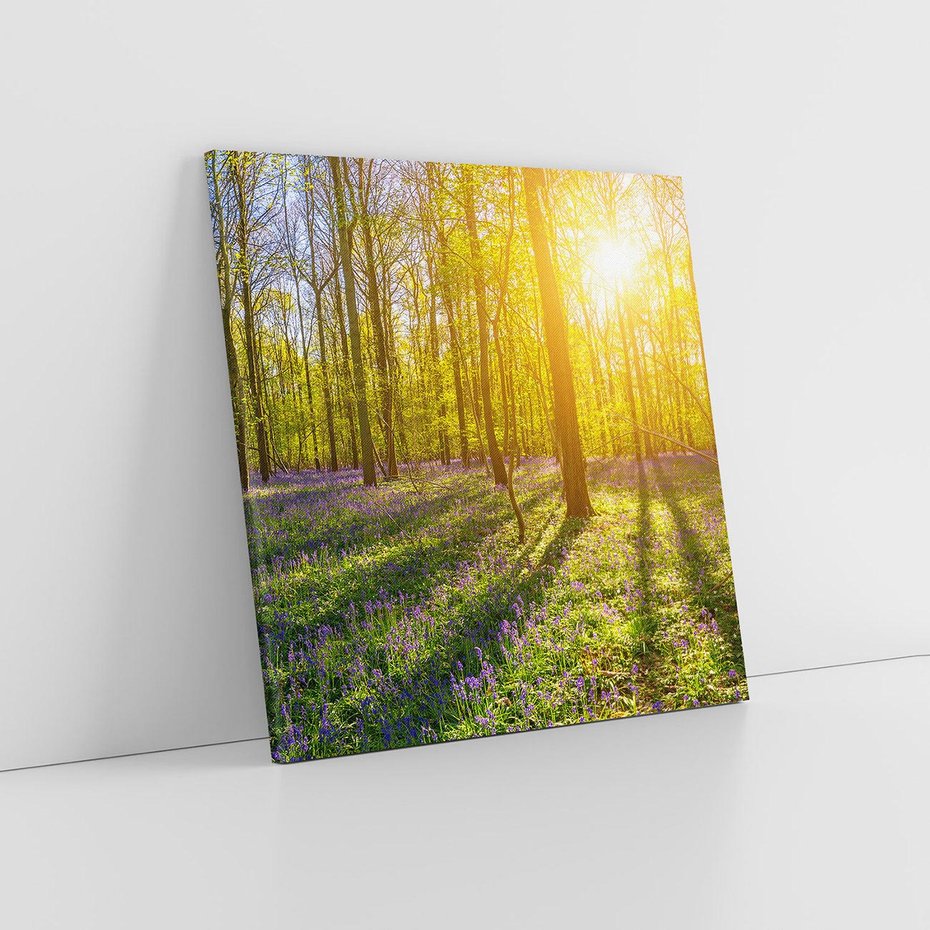 Obraz na płótnie 60x60 - Uroda lasu: harmonia drzew - las, drzewa