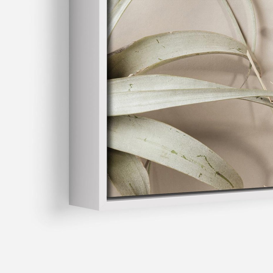 Obraz w ramie 50x50 - Boho urok suchych liści - suche, liście - rama biała