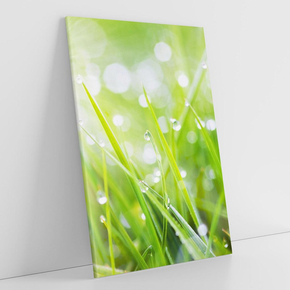 Obraz na płótnie 50x70 - Delikatna trawa pokryta rosą - trawa, rosa