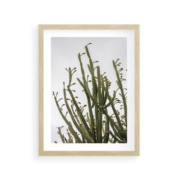 Plakat w ramie 30x40 - Ekskluzywna Roślinność - kaktusy, liście - rama drewno