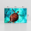 Obraz na płótnie 120x80 - Morze, fale i skały - żółw, morze