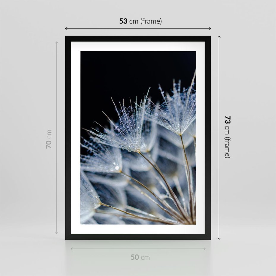Plakat w ramie 50x70 - Makro piękno dmuchawców - makro, dmuchawce - rama czarna