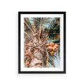 Plakat w ramie 30x40 - Tropikalna Palma: Fotografia z Kokosami - palma kokosowa, kokosy - rama czarna