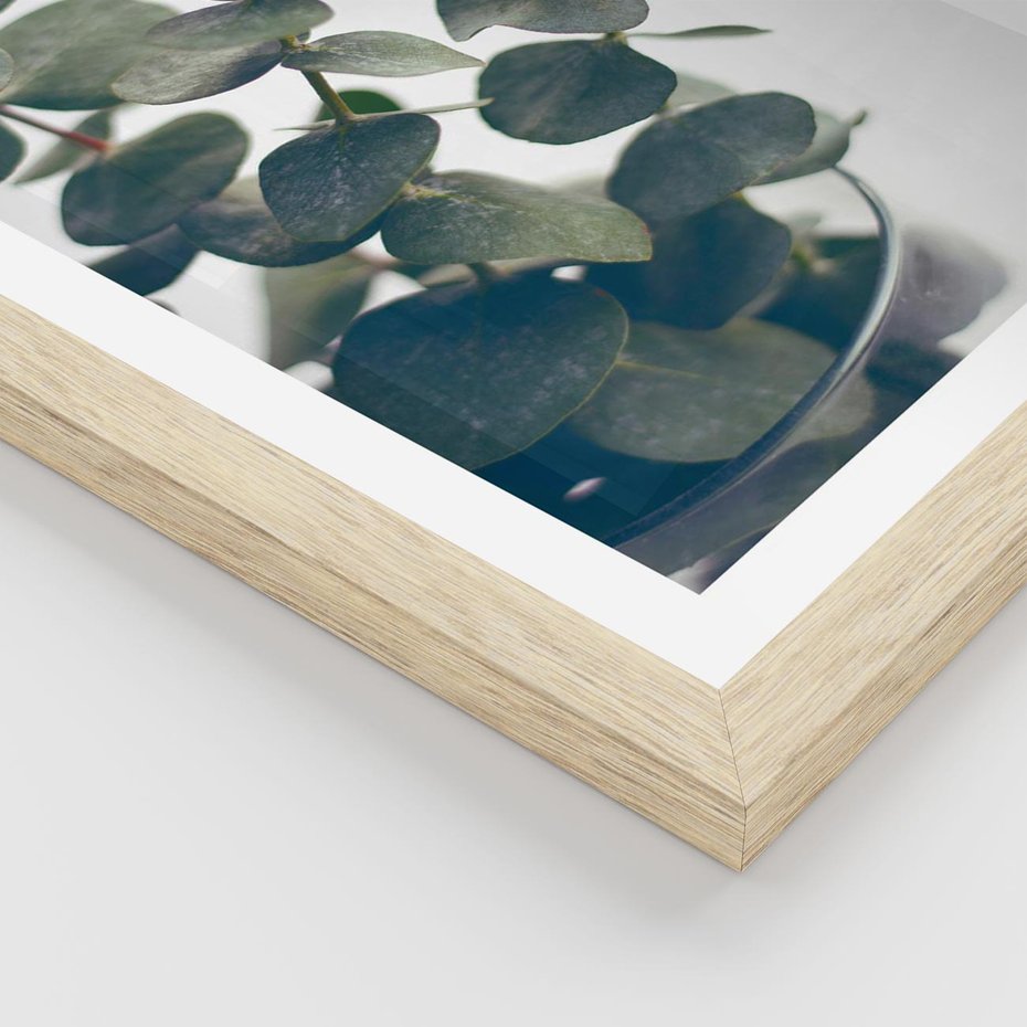 Plakat w ramie 50x70 - ukaliptusowa Harmonia - liście eukaliptusa - rama drewno