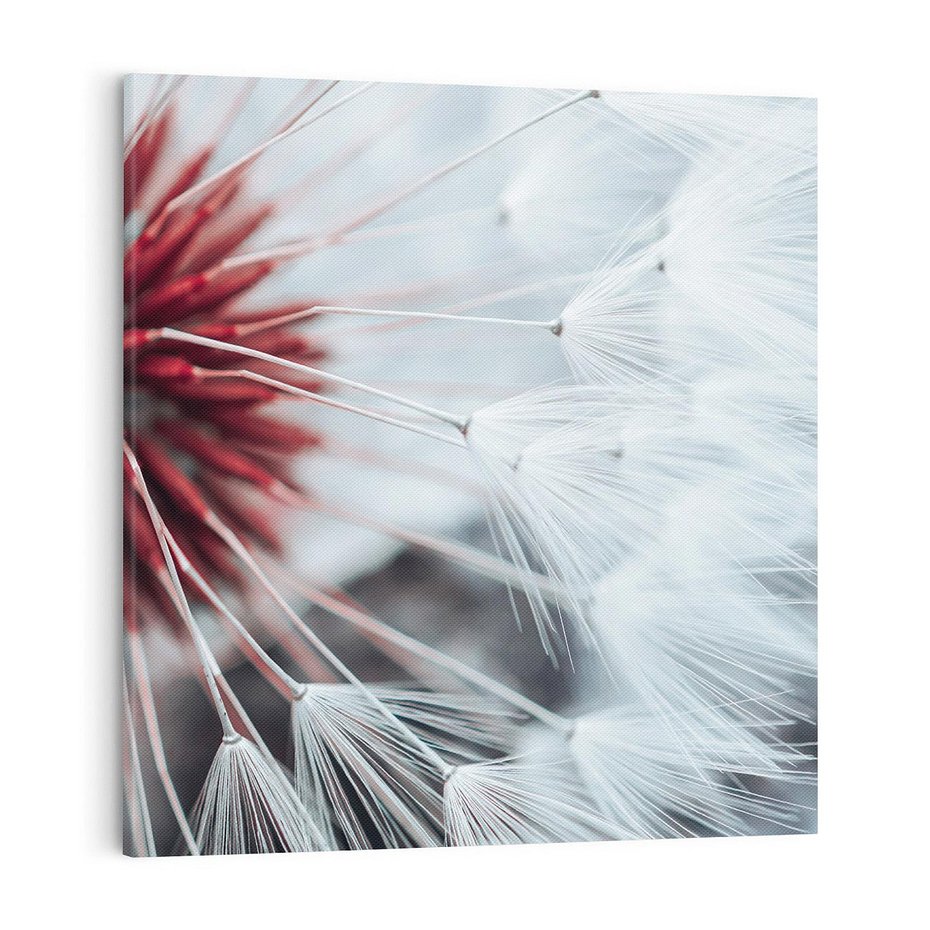 Obraz na płótnie 40x40 - Makro świat dmuchawca - dmuchawiec, makro