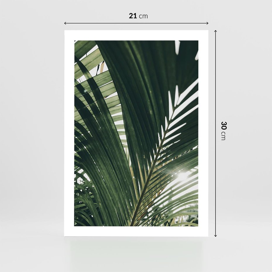 Plakat bez ramy 21x30 - Tropikalne Uroki: Palmy i Zielone Liście - palmy, zielone liście