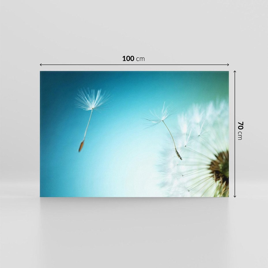 Obraz na płótnie 100x70 - Lekkość i Przemijanie - dmuchawiec, wiatr