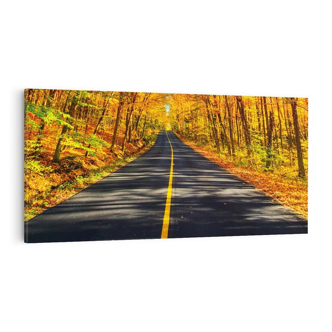 Obraz na płótnie 100x50 - Droga przez jesienny las - droga, las