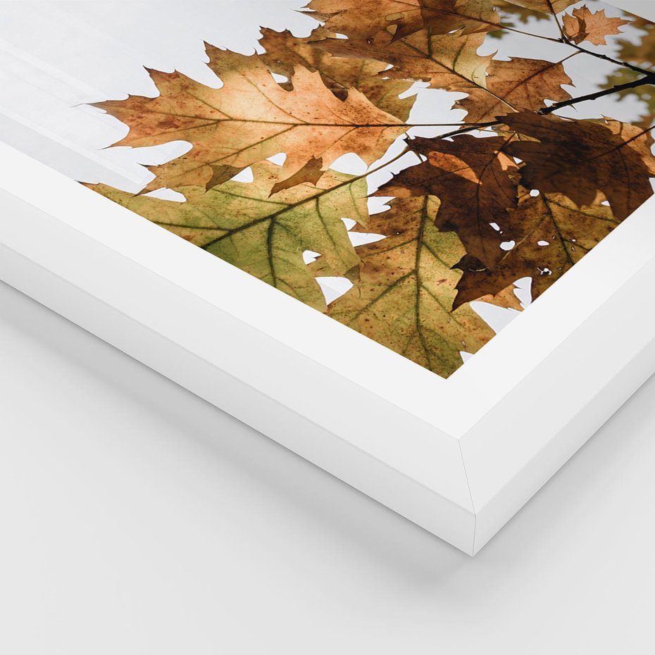 Plakat w ramie 50x70 - Suche Żółte Liście w Malowniczym Ujęciu - liście, żółte - rama biała
