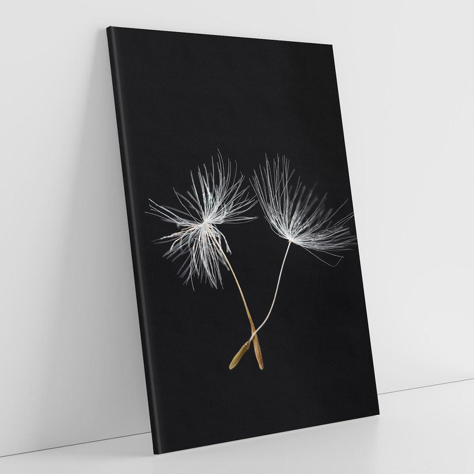 Obraz na płótnie 80x120 - Delikatność Wiatru - dmuchawce, makro