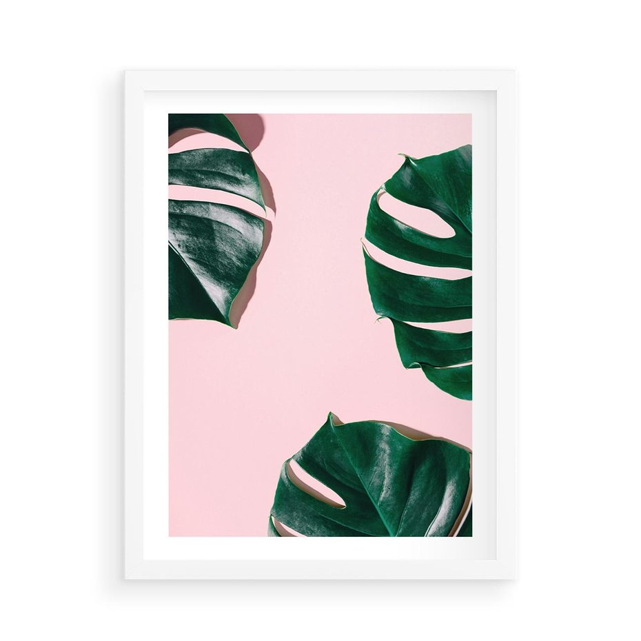 Plakat w ramie 50x70 - Siła Natury - liście, monstera - rama biała