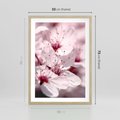 Plakat w ramie 50x70 - Kwitnąca Wiśnia - kwiaty, kwitnąca - rama drewno