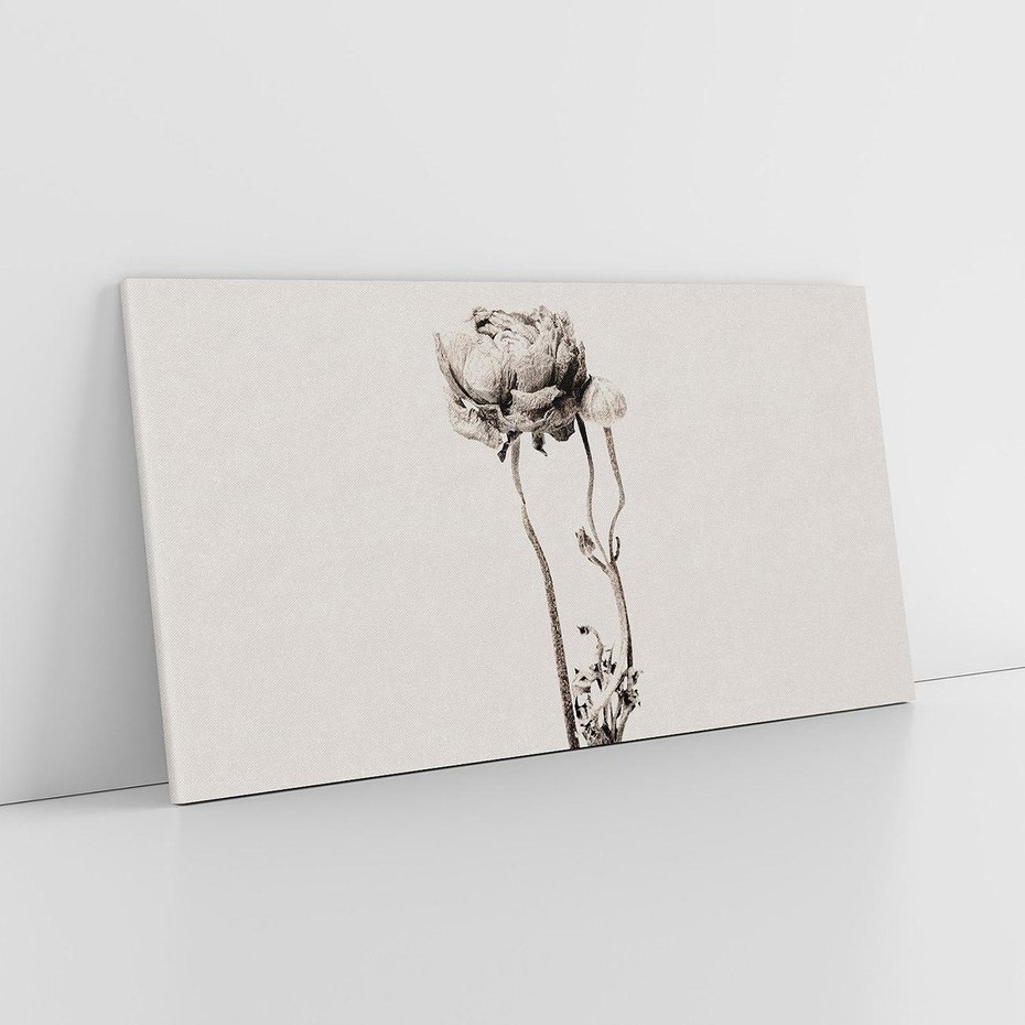 Obraz na płótnie 120x60 - Cień Kwiatowej Delikatności - kwiat, cień