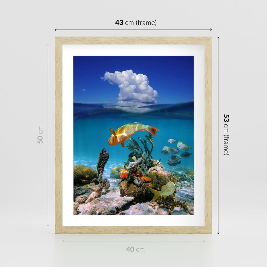 Plakat w ramie 40x50 - Podwodna rafa koralowa: kolorowy oceanowy świat - rafa, koralowa - rama drewno