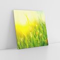 Obraz na płótnie 50x50 - Piękno Poranka - łąka, trawa