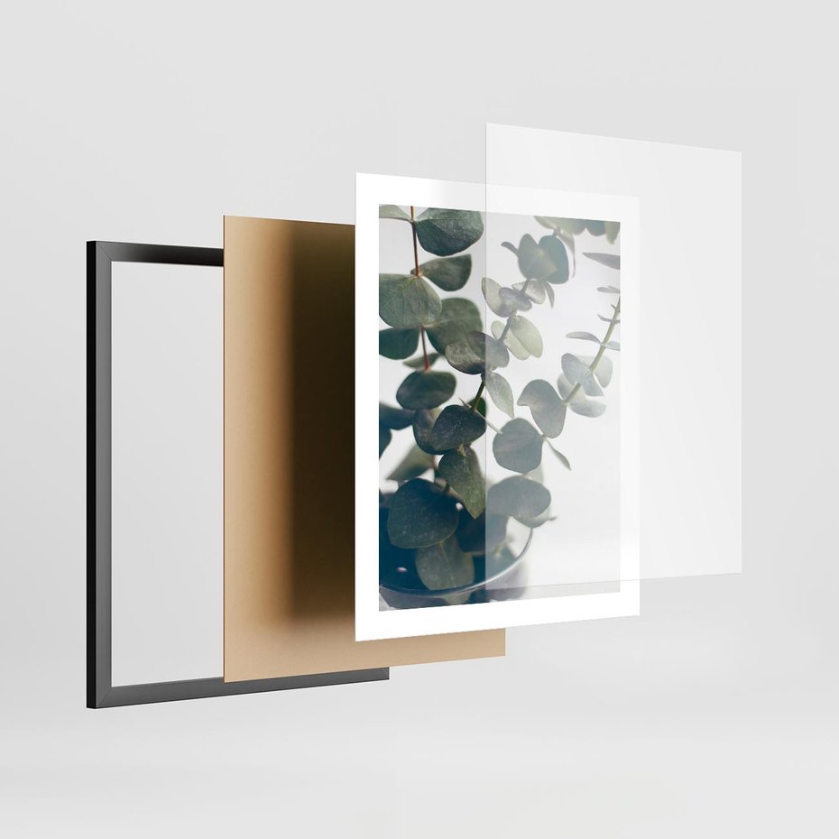 Plakat w ramie 40x50 - ukaliptusowa Harmonia - liście eukaliptusa - rama czarna