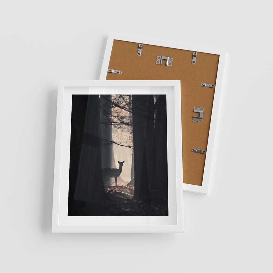 Plakat w ramie 40x50 - Sarnie Skoki - zdjęcie, klimatyczny las - rama biała