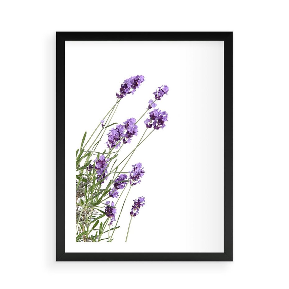 Plakat w ramie 50x70 - Delikatny Urok - lawenda, kwiaty - rama czarna