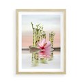 Plakat w ramie 50x70 - Harmonia i relaks - spa, bambus - rama drewno