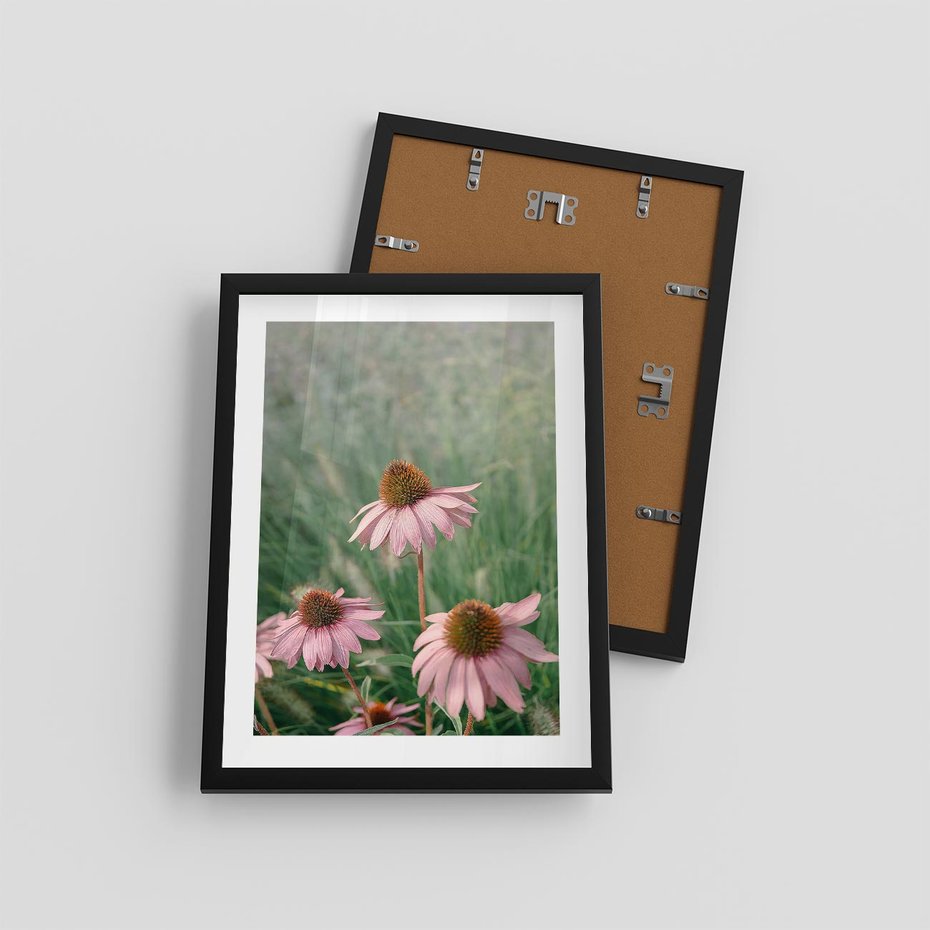 Plakat w ramie 30x40 - Natura w Pełnym Blasku - kwiaty na łące, różowe kwiaty polne - rama czarna