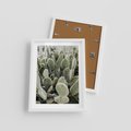 Plakat w ramie 30x40 - Kaktusowa Harmonia - kaktusy, fotografia - rama biała