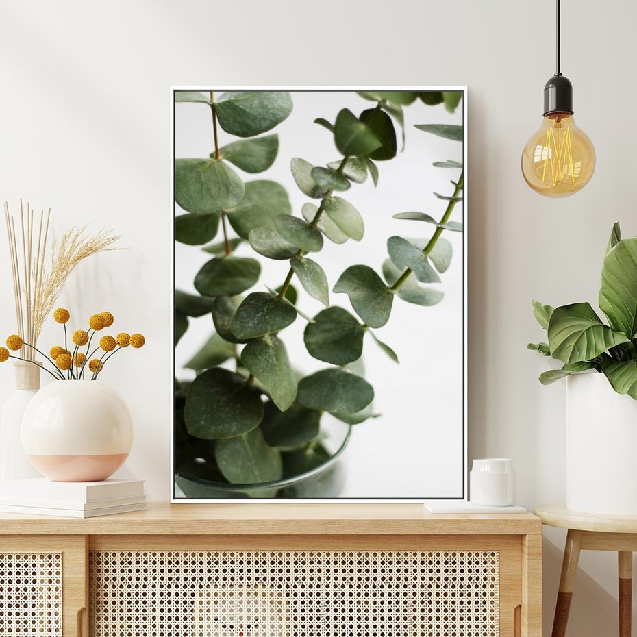 Obraz w ramie 70x100 - Zielone eukaliptusy - eukaliptus, liście - rama biała