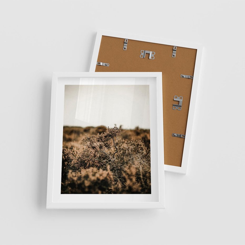 Plakat w ramie 40x50 - Krajobraz W Naturze: Beże i Brązy - suche krzewy, natura - rama biała