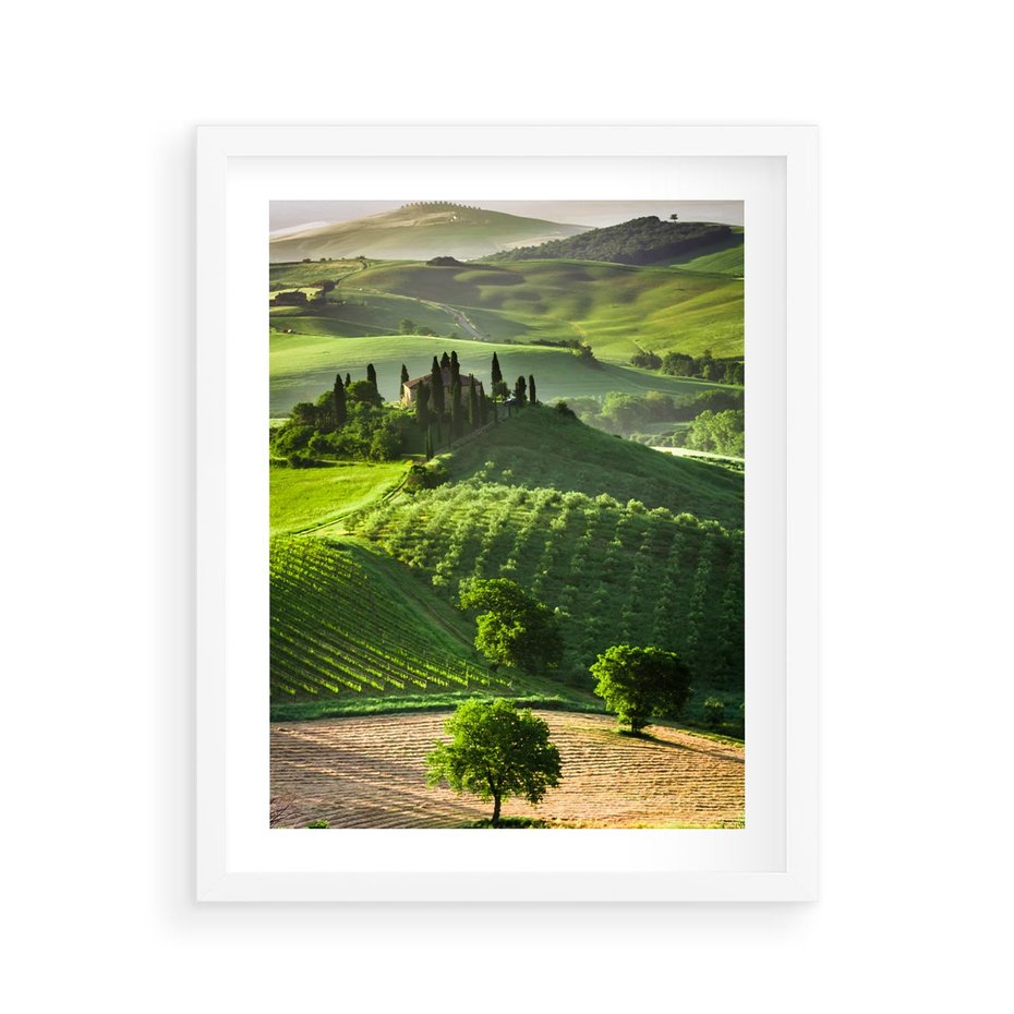 Plakat w ramie 40x50 - Prowansja: malownicze winnice w kraju Włoch - Prowansja, Włochy - rama biała