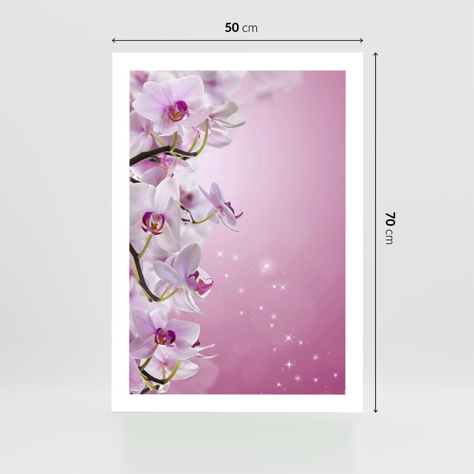 Plakat bez ramy 50x70 - Relaksujące Piękno - kwiaty, orchidea