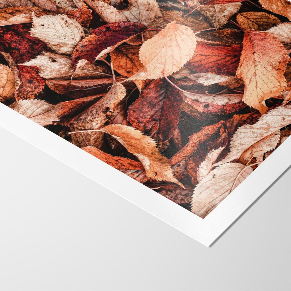Plakat bez ramy 21x30 - Magia Jesiennej Ziemi - liście, jesień