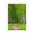 Plakat bez ramy 21x30 - Spacer Ścieżką w Urokliwym Lesie - las, ścieżka