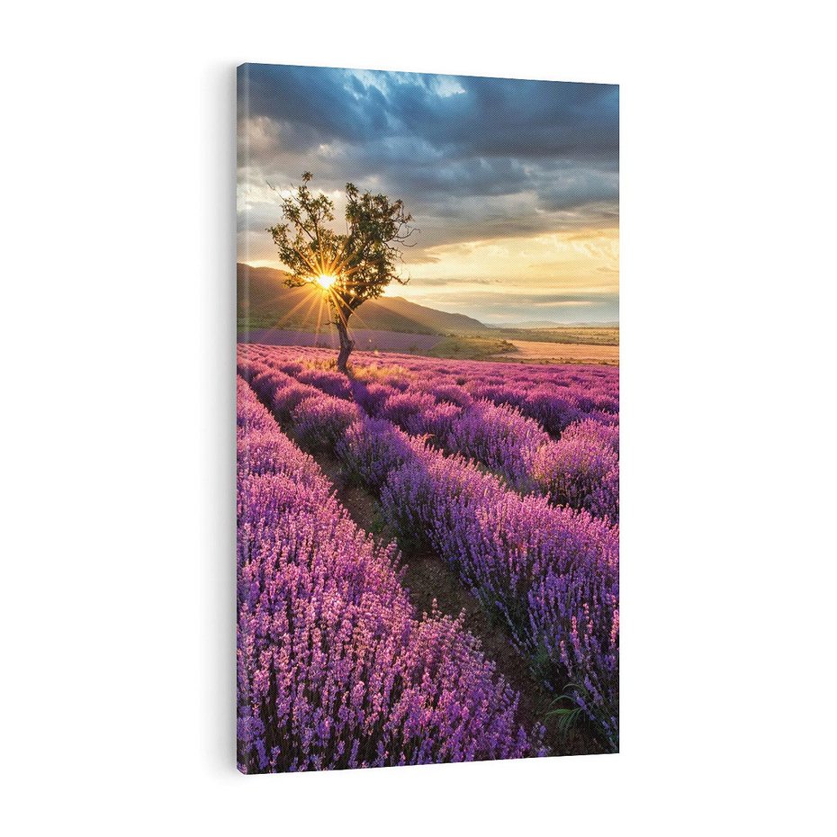 Obraz na płótnie 70x100 - Lawenda: Pachnący ogród natury - lawenda, kwiaty