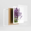 Plakat w ramie 40x50 - Pola lawendy w pełnym rozkwicie - lawenda, kwiaty - rama biała