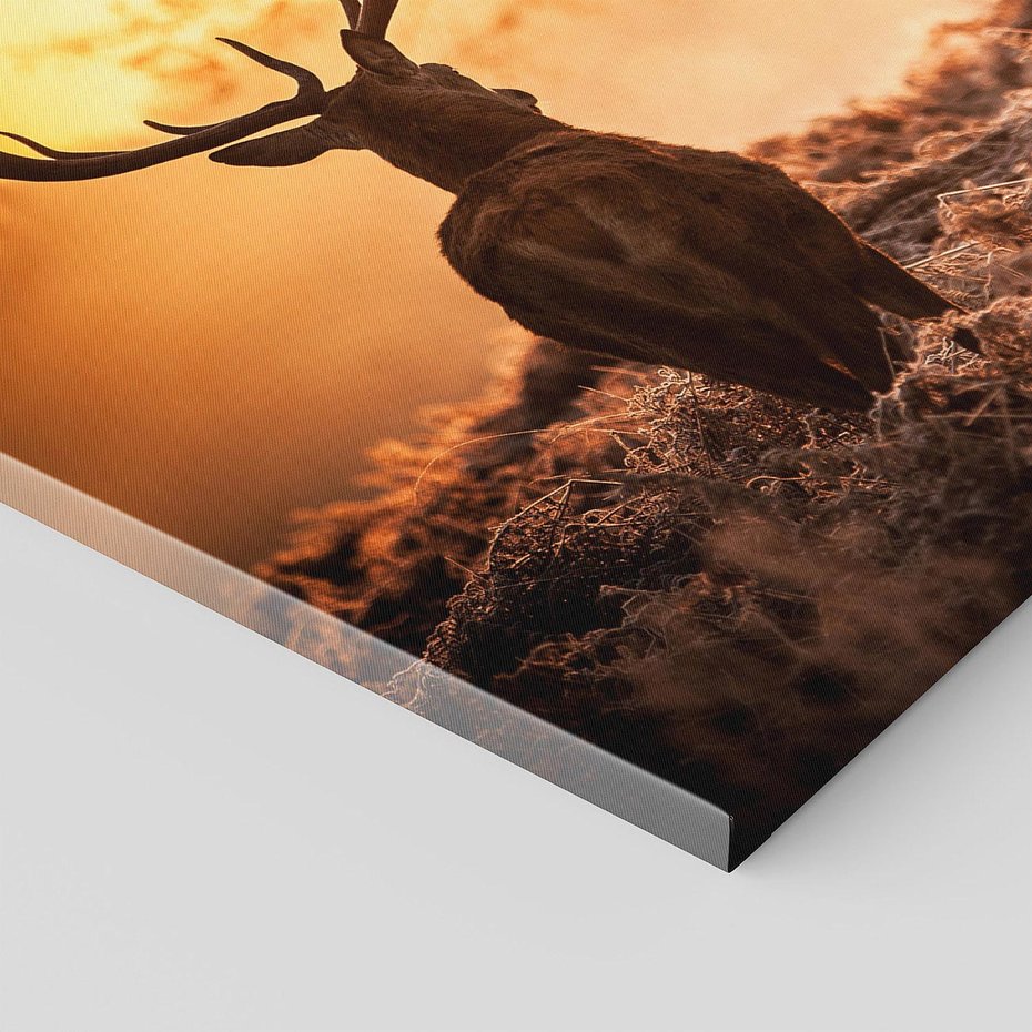 Obraz na płótnie 120x60 - Jeleń w lesie: Spotkanie w dziczy - jeleń, jelenie