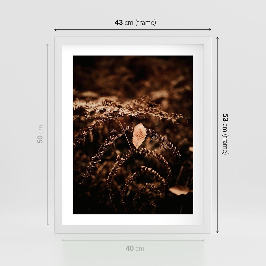 Plakat w ramie 40x50 - Gałęzie i Liść w Brązowej Tonacji - suche gałęzie, liść - rama biała