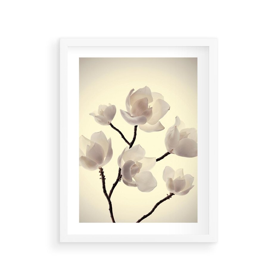 Plakat w ramie 30x40 - Elegancja Natury - magnolia, białe - rama biała