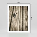 Plakat bez ramy 40x50 - Sepia na Polu - kombajn, pole