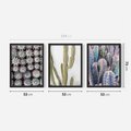 Zestaw obrazy w ramie 50x70 galeria - Kaktusy, liście, boho - rama czarna