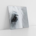 Obraz na płótnie 70x70 - Oko Mocy - czarno białe zdjęcie, zbliżenie makro na oko konia
