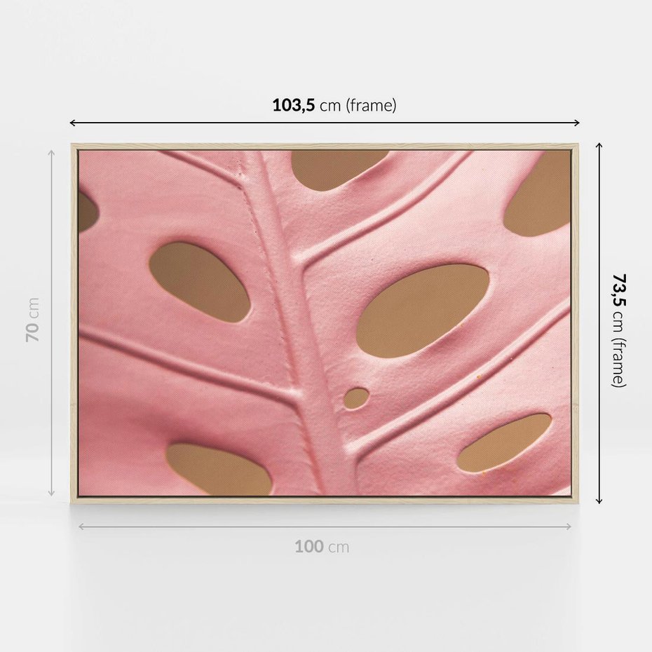 Obraz w ramie 100x70 - Różowa monstera w pełnym rozkwicie - różowa, monstera - rama drewno