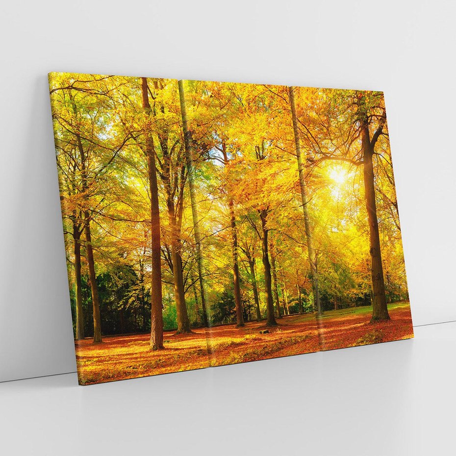 Obraz na płótnie 120x80 - Urok jesiennego lasu - las, drzewa