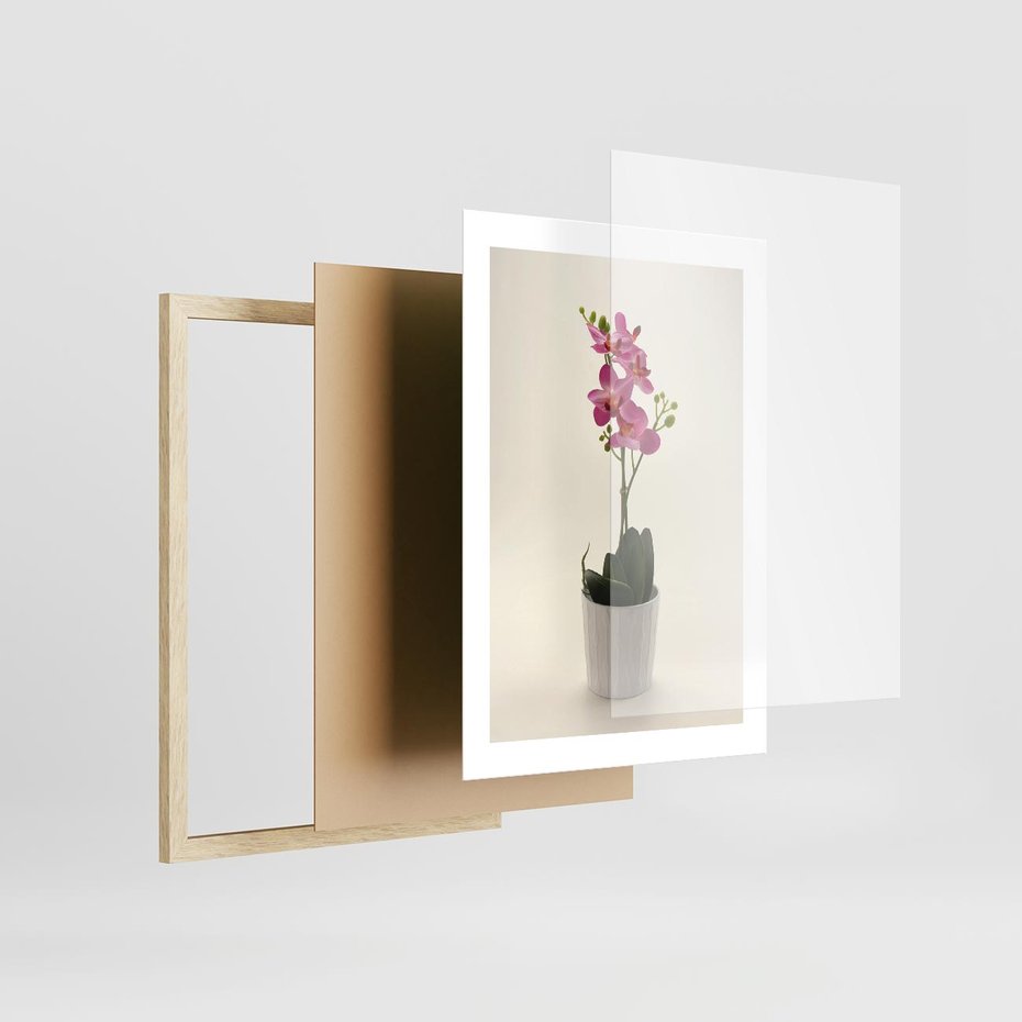 Plakat w ramie 30x40 - Delikatność storczyka orchidei - storczyk, orchidea - rama drewno