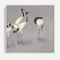 Obraz w ramie 50x50 - Spojrzenie wstecz w pędzlu - szkic rysunek, japońskie żurawie - rama biała