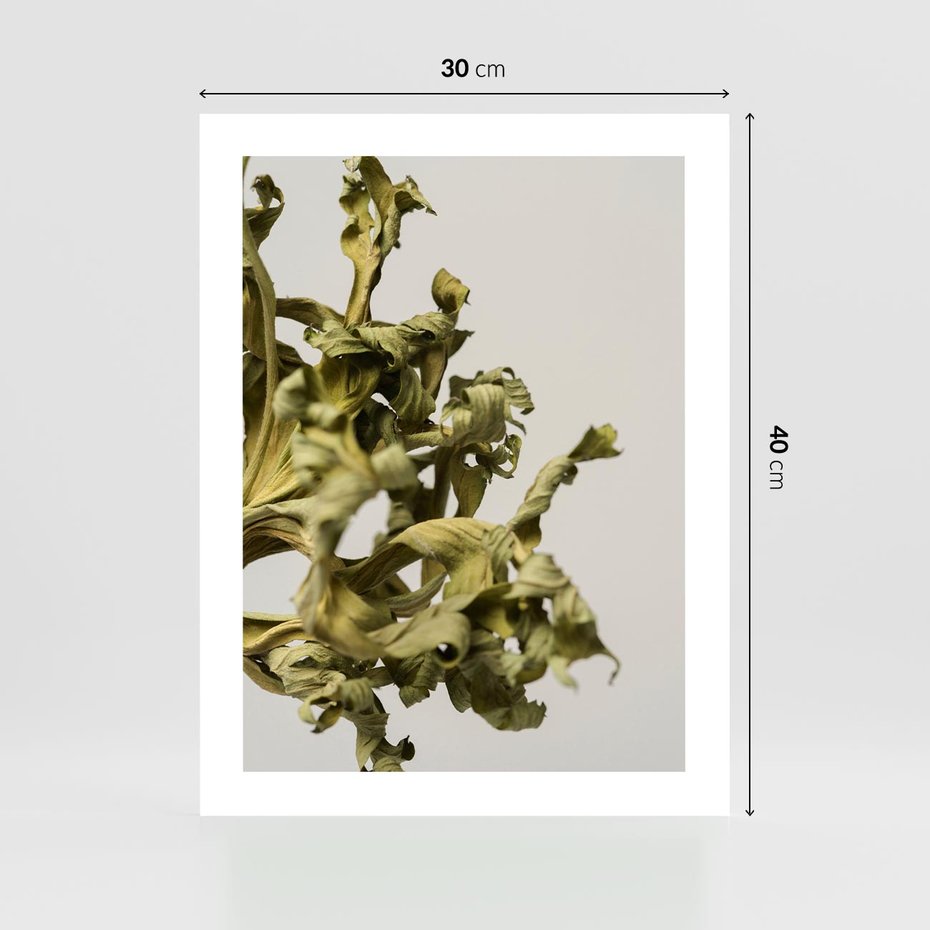 Plakat bez ramy 30x40 - Odejście pory deszczowej - suche, trawy