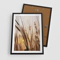 Plakat w ramie 50x70 - Malownicza Łąka z Trawam - trawy, łąka - rama czarna