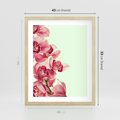 Plakat w ramie 40x50 - Orchidea - delikatne kwiaty - orchidea, kwiaty - rama drewno