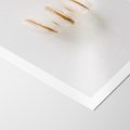 Plakat bez ramy 21x30 - Delikatność w Bieli - białe ciateczka. makaroniki, minimalistyczne zdjęcie