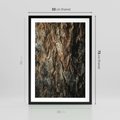 Plakat w ramie 50x70 - Tekstura Drewna: Zbliżenie - zbliżenie na pień drzewa, tekstura - rama czarna